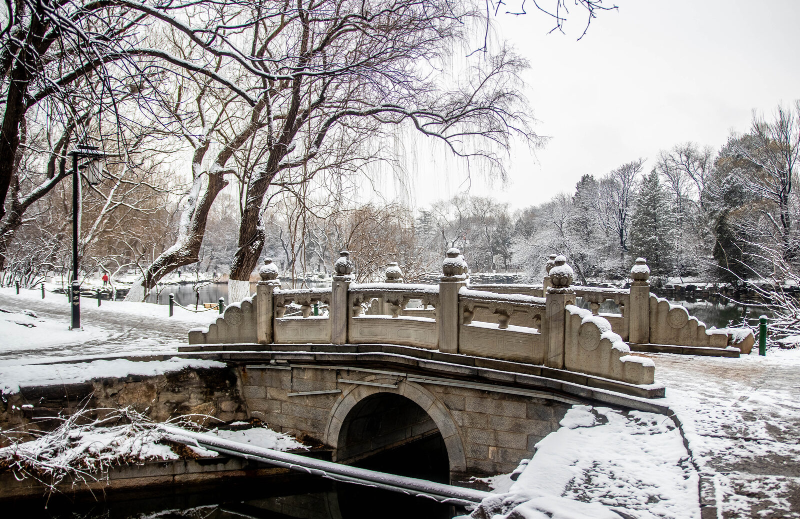 Yanyuan campus, spring 2026